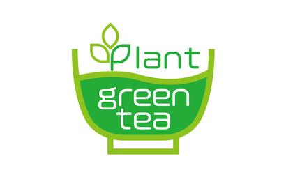 green tea plant様