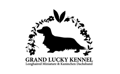 GRAND LUCKY KENNEL様