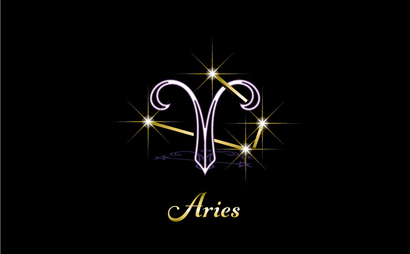 Aries様